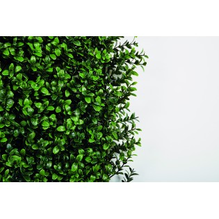 VERTICAL BUXUS