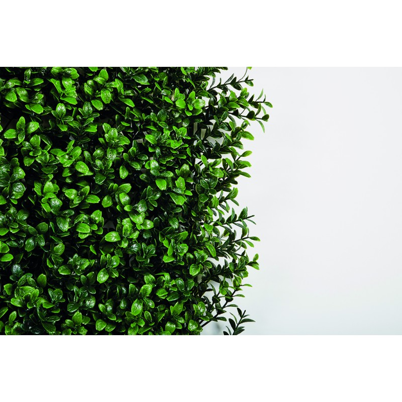 VERTICAL BUXUS