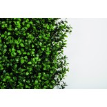 VERTICAL BUXUS