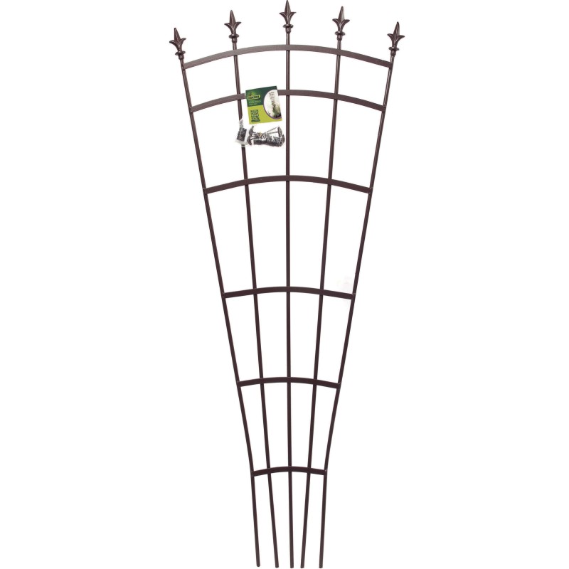 ROYAL TRELLIS