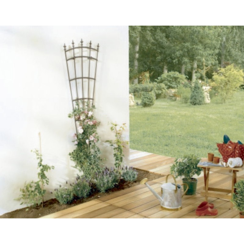 ROYAL TRELLIS