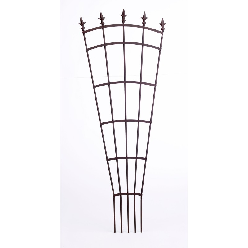 ROYAL TRELLIS