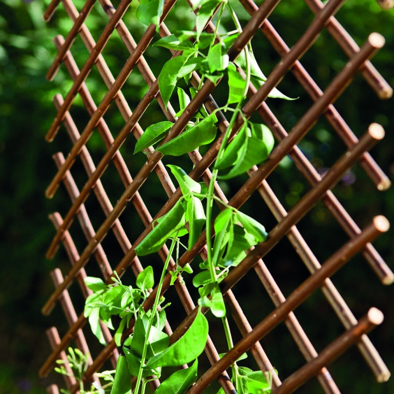 TRELLIWILLOW