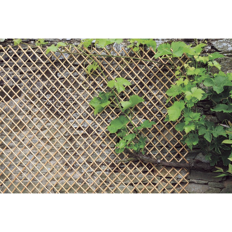 WICK TRELLIS