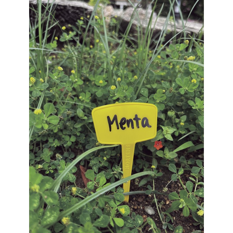 LABEL 15