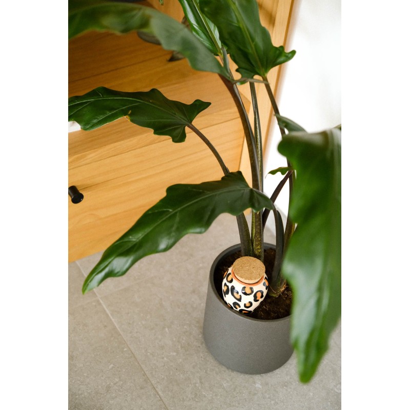 OLLA LEOPARD