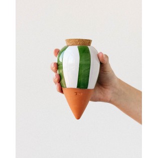 OLLA RAYE VERT BLANC