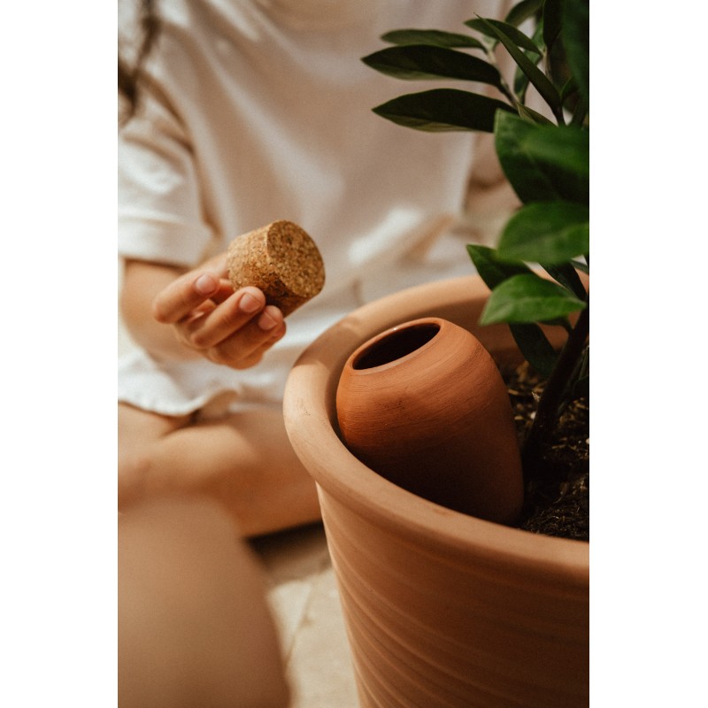 OLLA TERRACOTTA