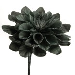 FLEUR BASTIA CHLORO H86 FLEUR BASTIA CHLORO H86