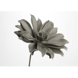 FLEUR PANA H80 GRIS