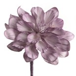 FLEUR BASTIA PARME H86 FLEUR BASTIA PARME H86