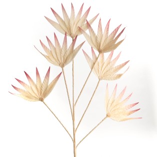 TIGE FLEUR PALMA DEGRADE ROSE