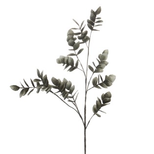 TIGE THEA EUCALYPTHUS H120