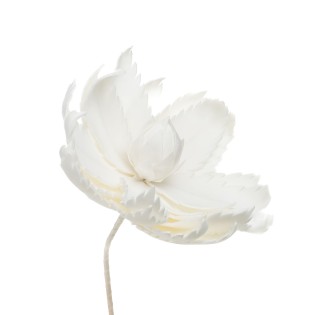 FLEUR MAYA BLANC H103