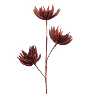 TIGE JOANNA TERRACOTTA H86