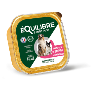 ADULTE TERRINE SAUMON 300G