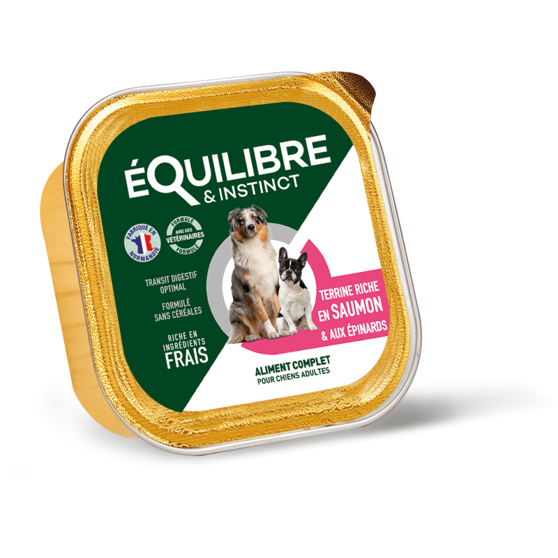 ADULTE TERRINE SAUMON 300G