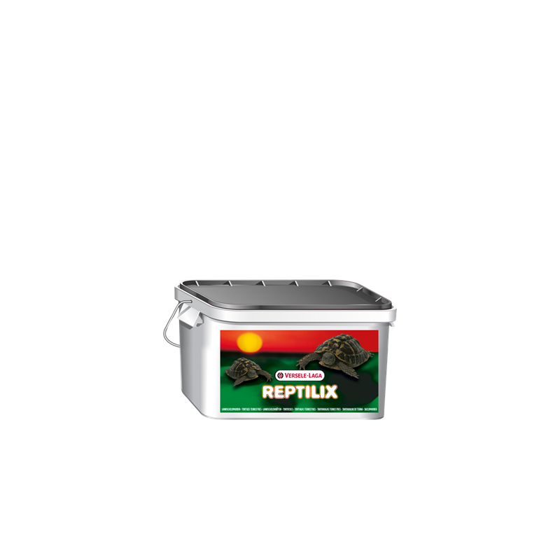 REPTILIX TORTUE 1KG