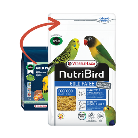 GOLD PATEE PETITES PERRUCHES  250G