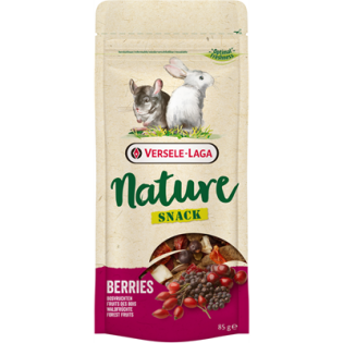 NATURE SNACK BERRIES 85G