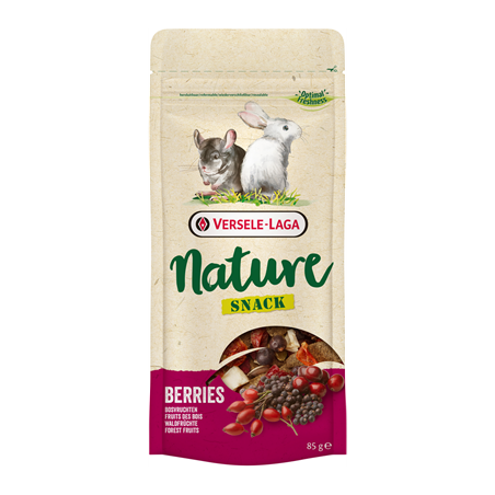 NATURE SNACK BERRIES 85G