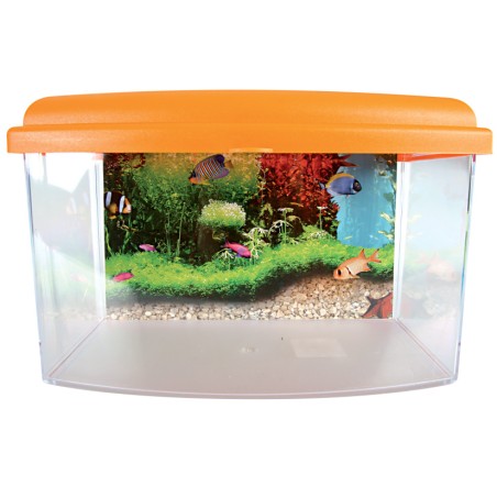 AQUA TRAVEL BOX II