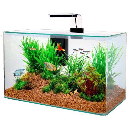KIT AQUA CLEAR 40