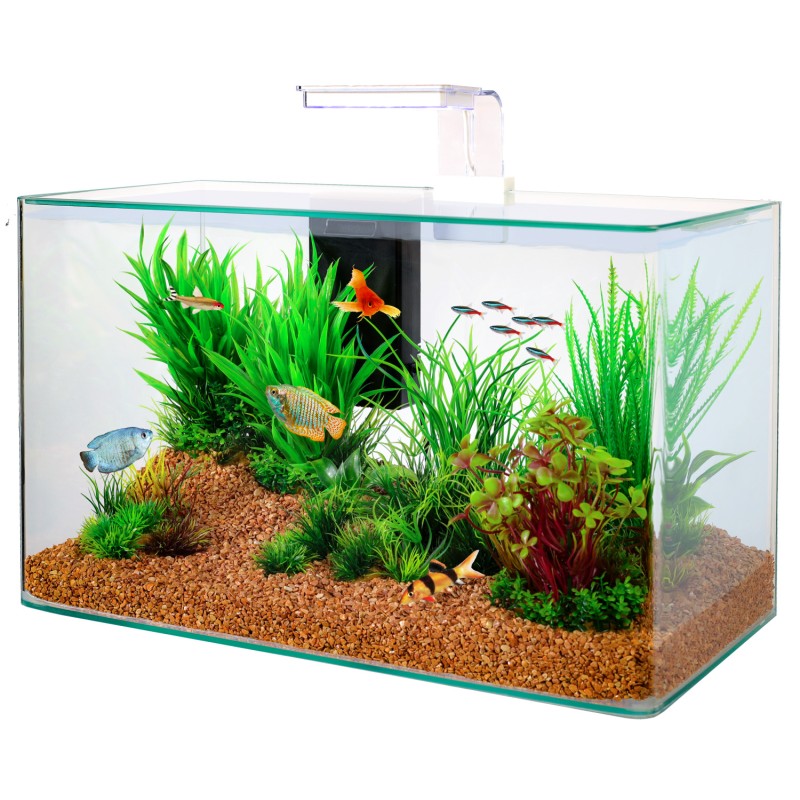 KIT AQUA CLEAR 40