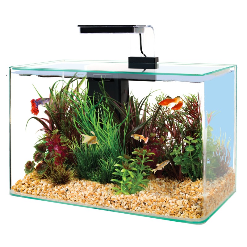 KIT AQUA CLEAR 50