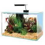 KIT AQUA CLEAR 50