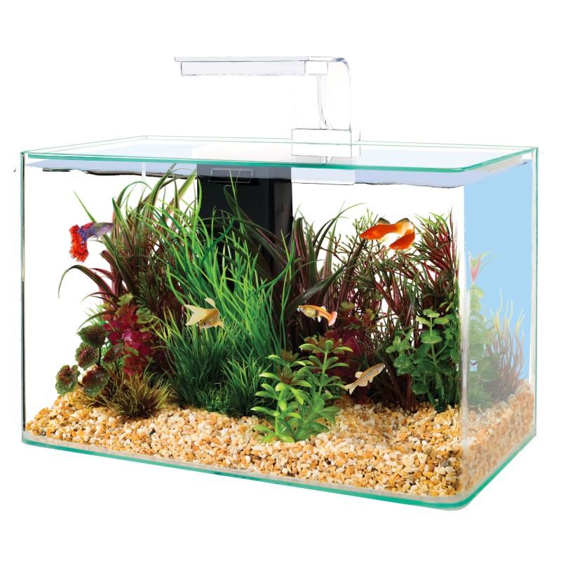KIT AQUA CLEAR 50