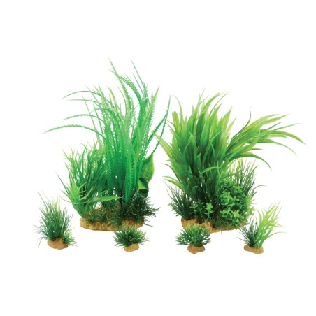 PLANTKIT JALAYA