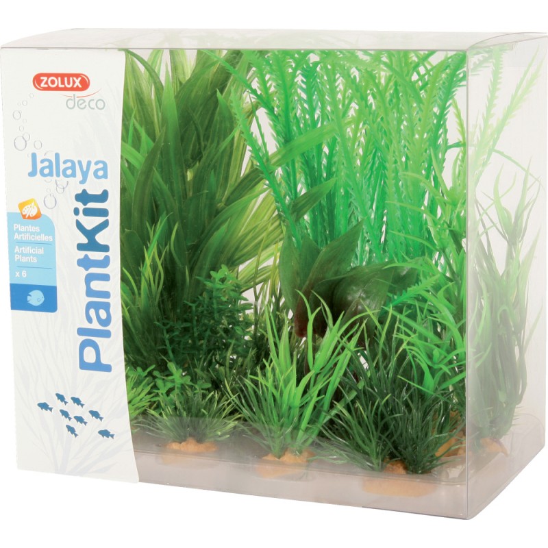 PLANTKIT JALAYA