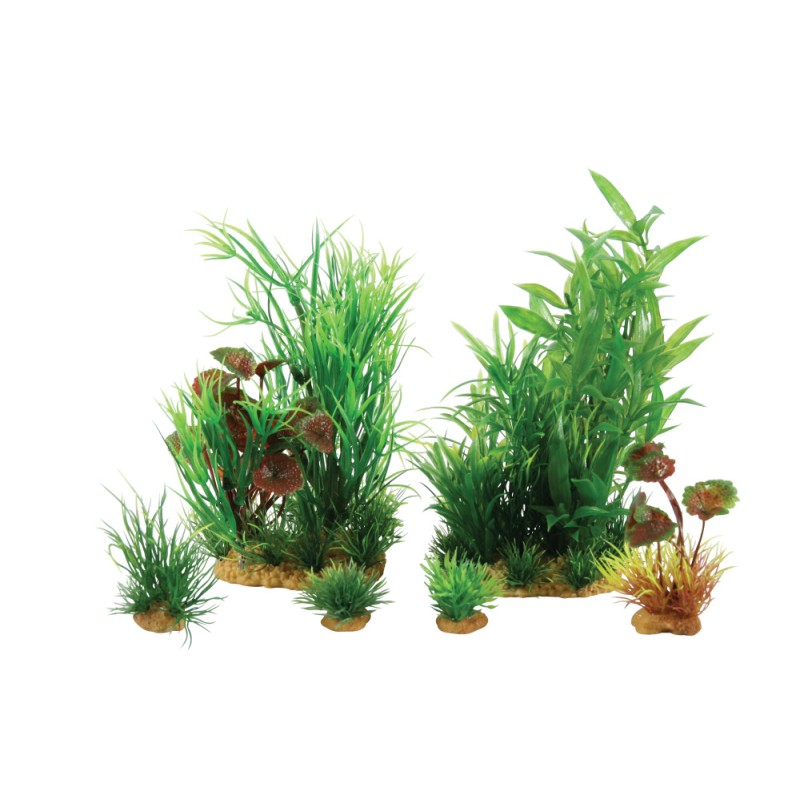 PLANTKIT JALAYA