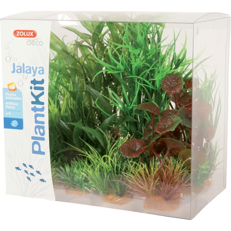 PLANTKIT JALAYA