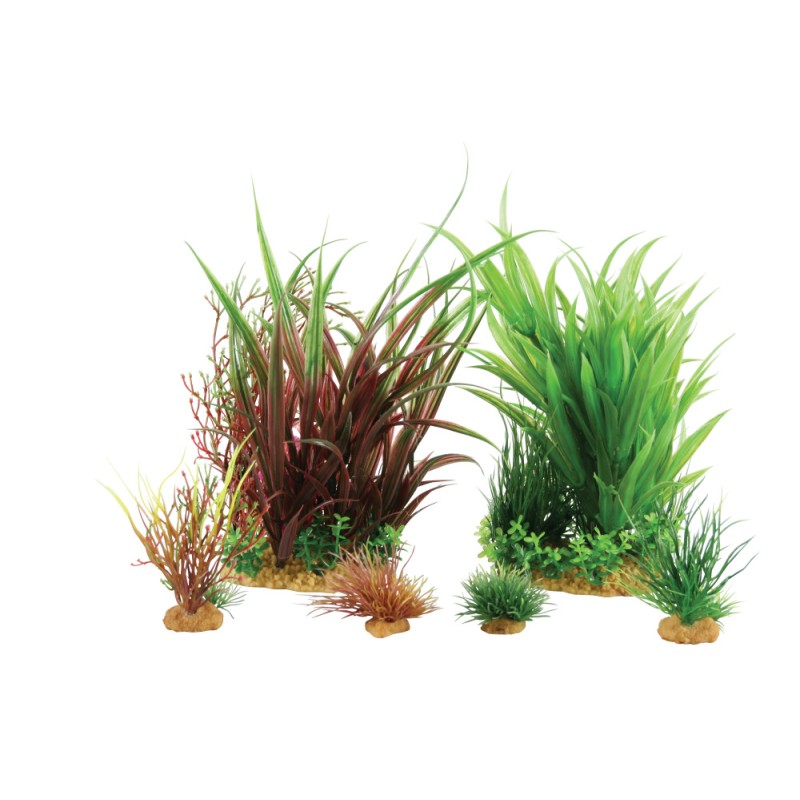 PLANTKIT JALAYA