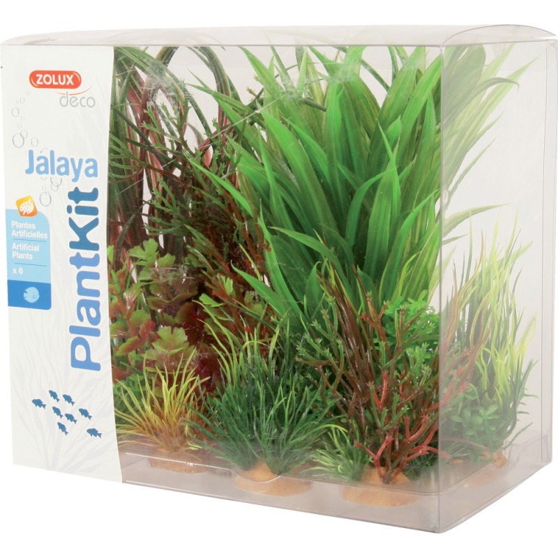 PLANTKIT JALAYA