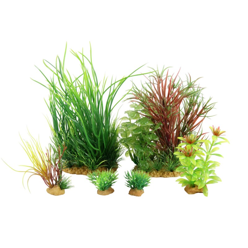 PLANTKIT JALAYA