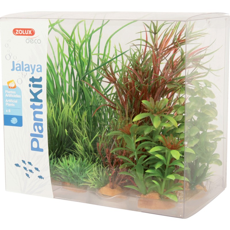 PLANTKIT JALAYA