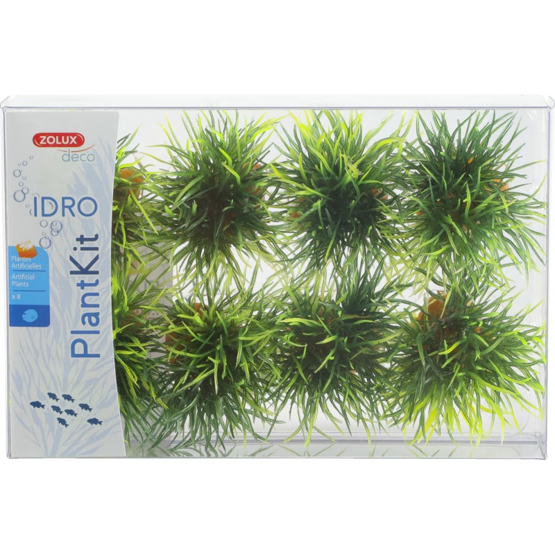 PLANTKIT IDRO SMALL PLANT