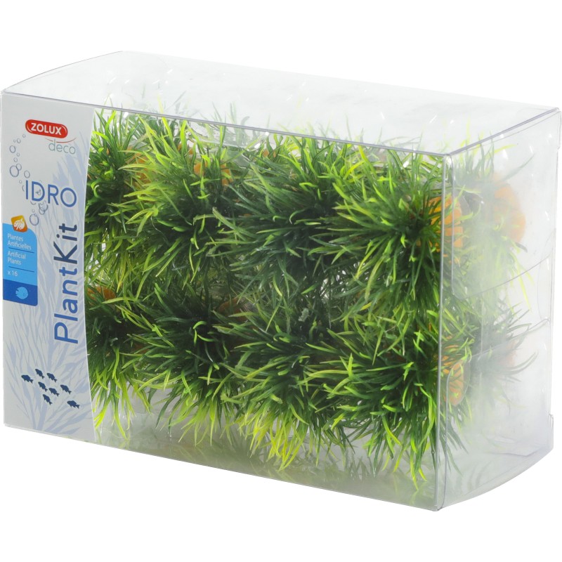 PLANTKIT IDRO SMALL PLANT
