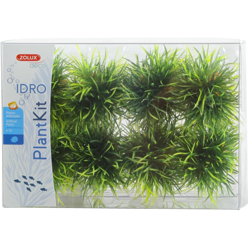 PLANTKIT IDRO SMALL PLANT