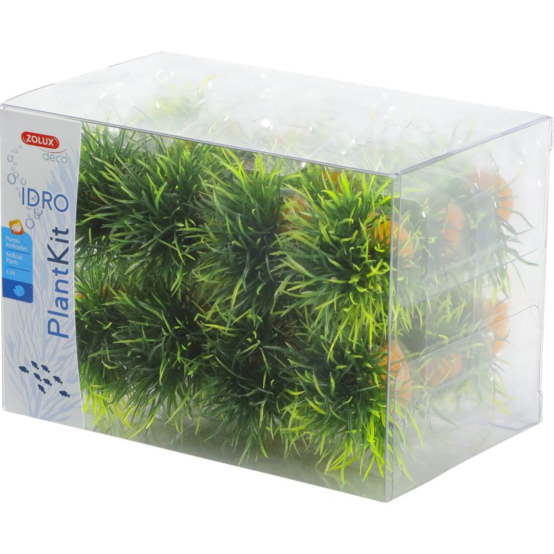 PLANTKIT IDRO SMALL PLANT