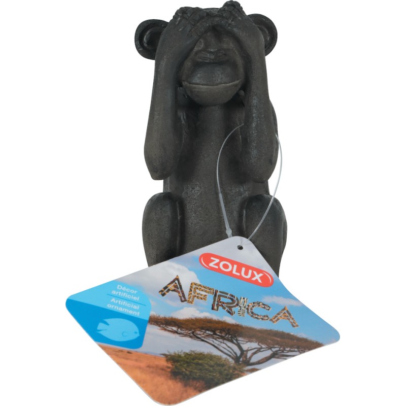 AFRICA SINGE