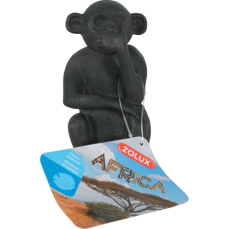 AFRICA SINGE