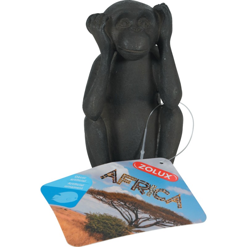 AFRICA SINGE