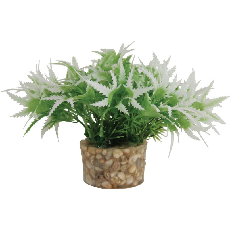 DECOR PLANTE SMALL T1 ASS