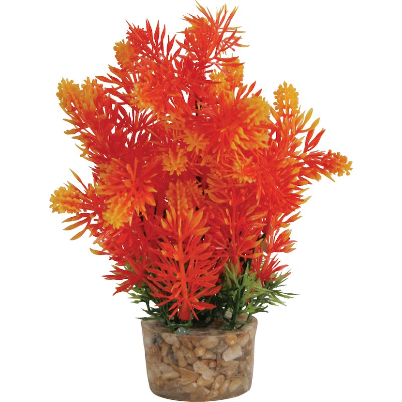 DECOR PLANTE MEDIUM T3 ASS