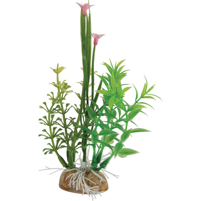 DECOR COMPO VERDURE