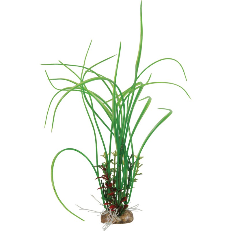DECOR COMPO VERDURE